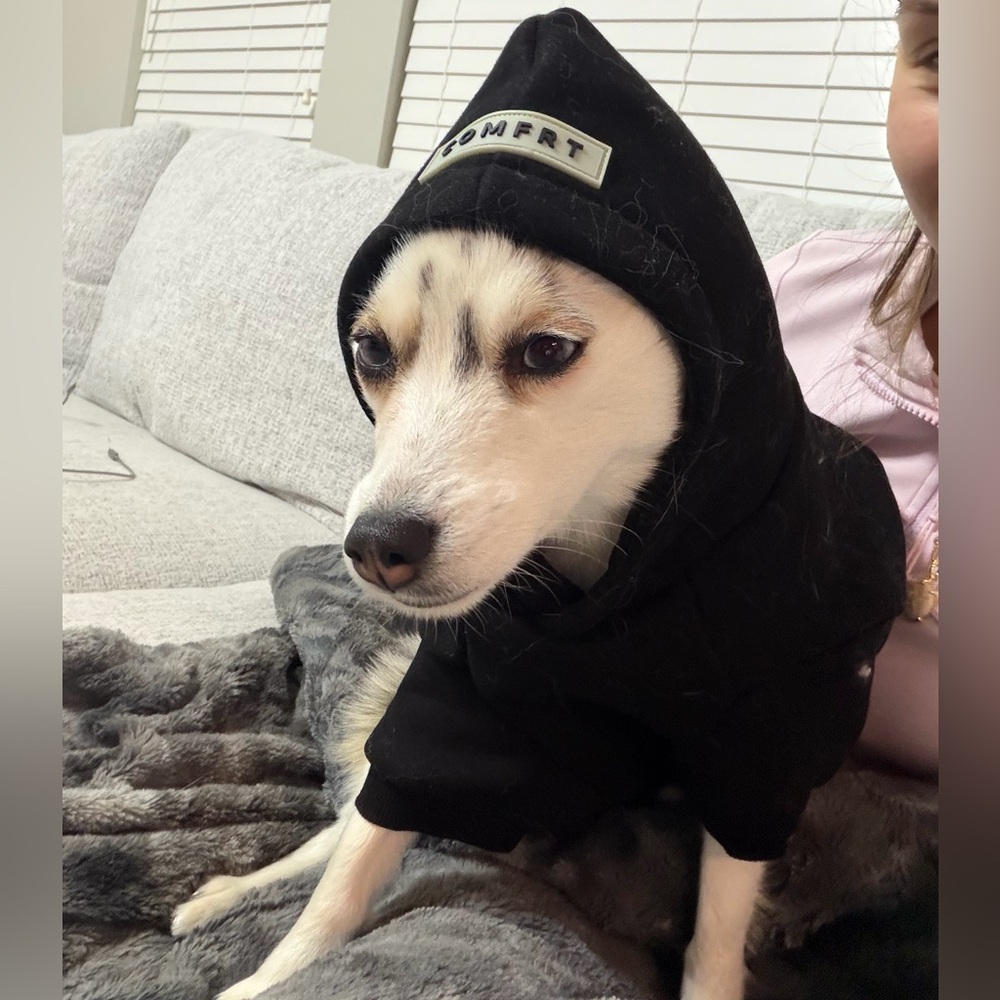 Black Dog Comfrt Hoodie